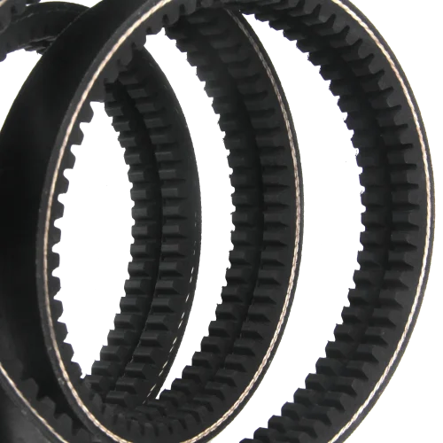 banded-v-belt-gold-edge