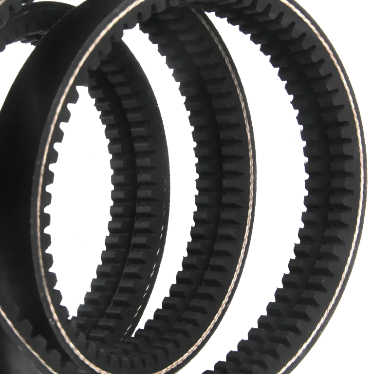 banded-v-belt-gold-edge