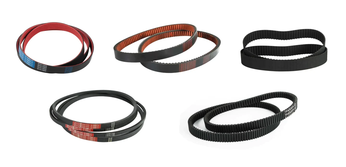 belt-trends-2026-hero
